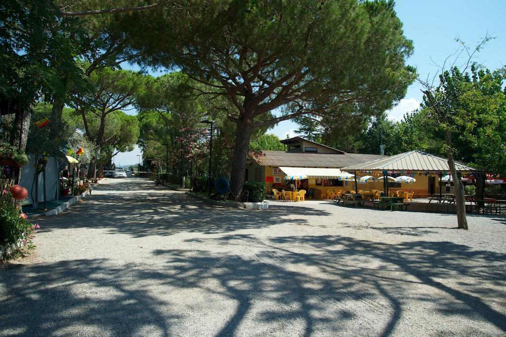 Camping Piper Puntone di Scarlino